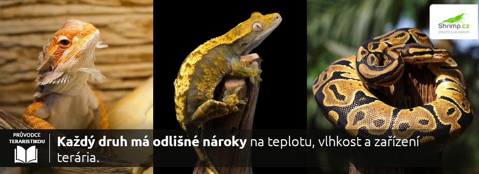 terarijni-zvirata