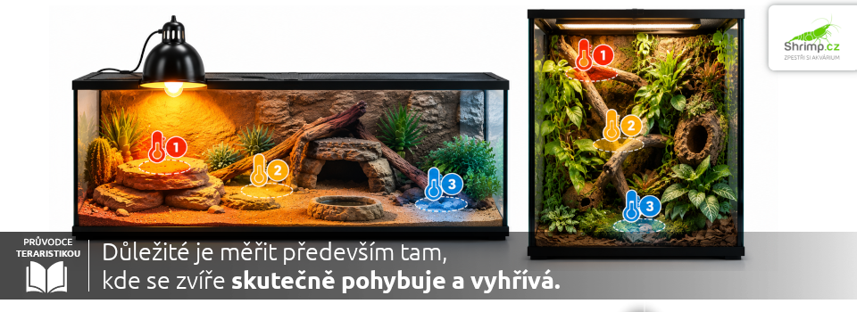 jak-merit-teplotu-v-terariu