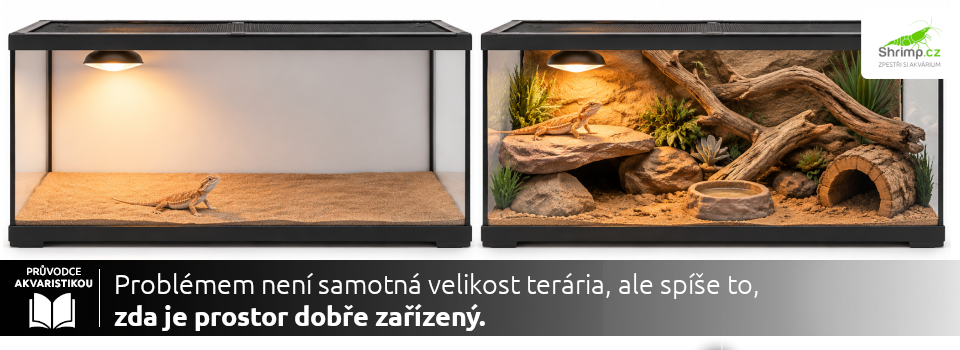velke-terarium-pro-agamu