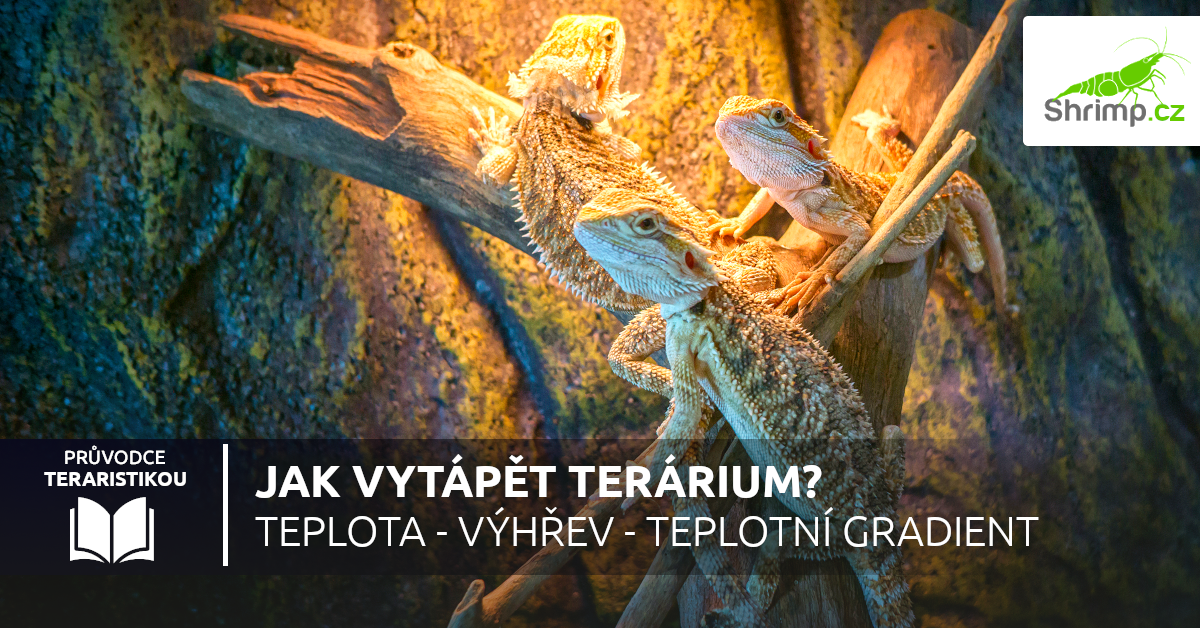 jak-vytapet-terarium