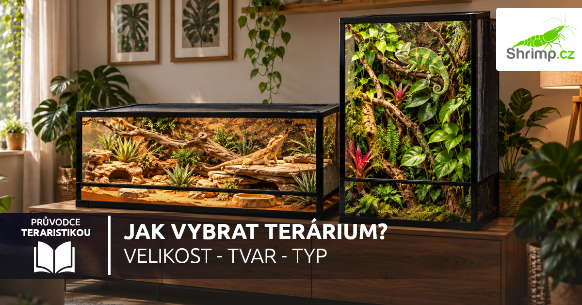 jak-vybrat-terarium-pro-terarijni-zvire