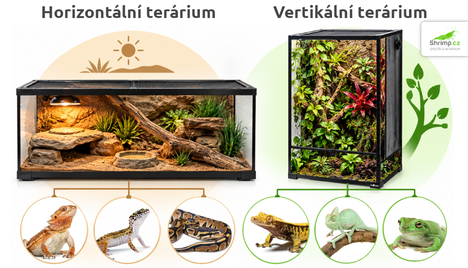 horizontalni-vertikalni-terarium