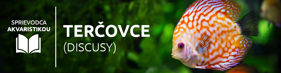 tercovci-pruvodce-akvaristikou-shrimp.cz