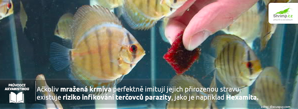 krmivo-pro-tercovce