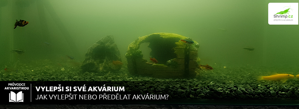 jak-si-vylepsit-akvarium