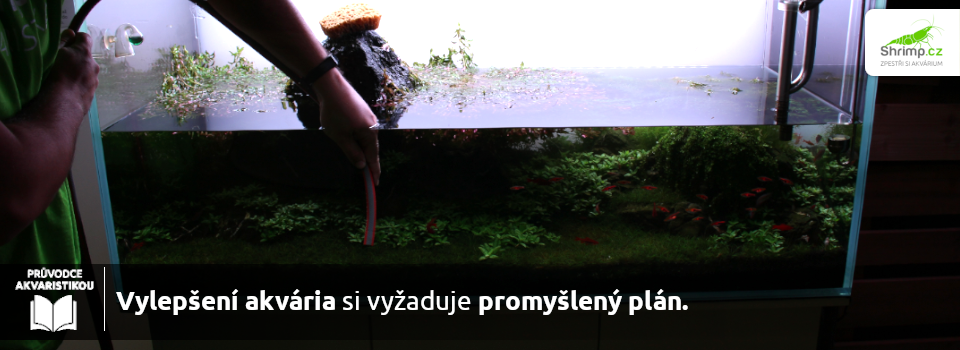 predalavka-akvaria-pozaduje-promysleny-plan