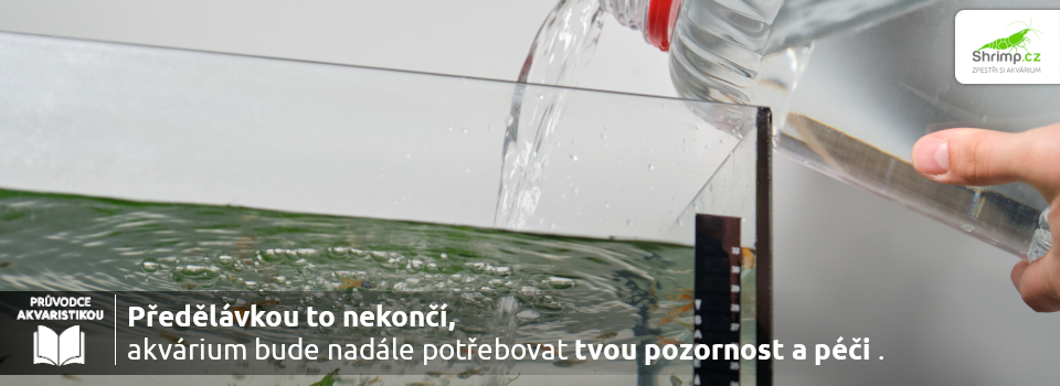 predelavkou-to-nekonci