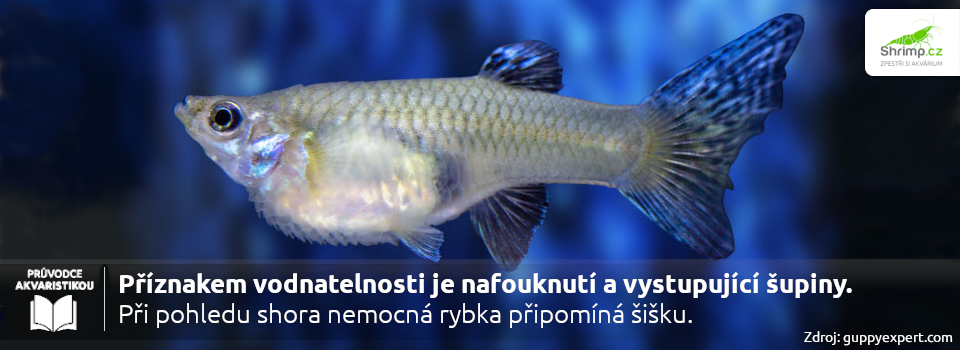 vodnatelnost