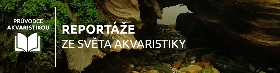 reportaze-ze-sveta-akvaristiky