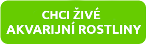 zive-akvarijne-rostliny