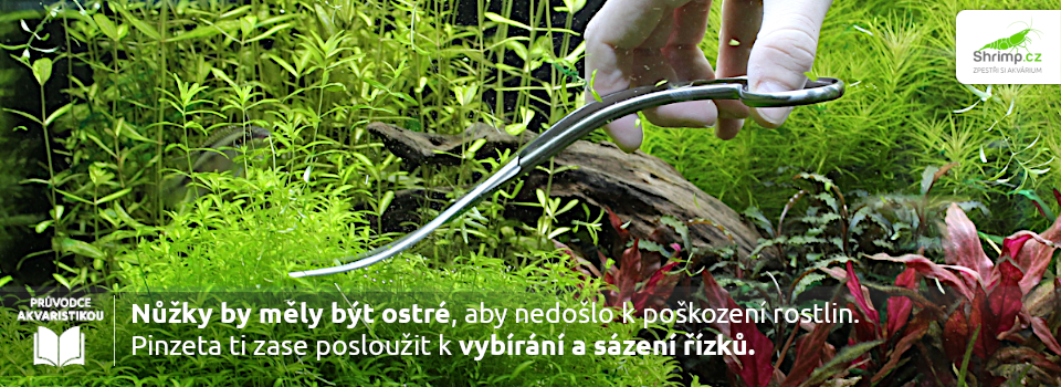 akvarijne-naradi