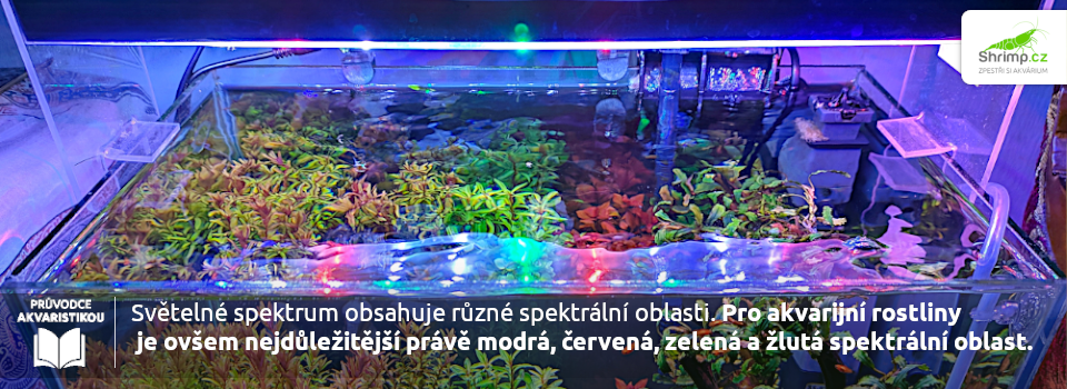 spectrum-svetla-pro-akvarijni-rostliny