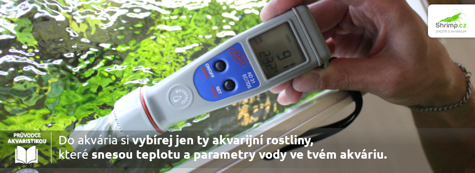 parametre-vody-pro-akvarijni-rostliny