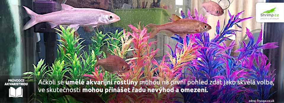 umele-rostliny-do-akvaria