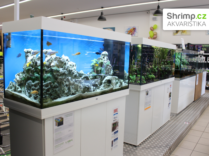 Akvaristika Shrimp v Žiline - ukázka akvárií
