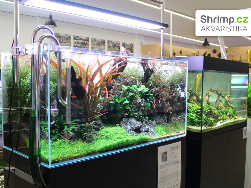 Akvaristika Shrimp v Žiline - ukázka akvárií