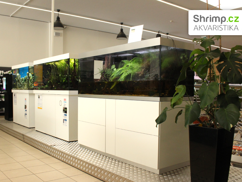 Akvaristika Shrimp v Žiline - ukázka akvárií