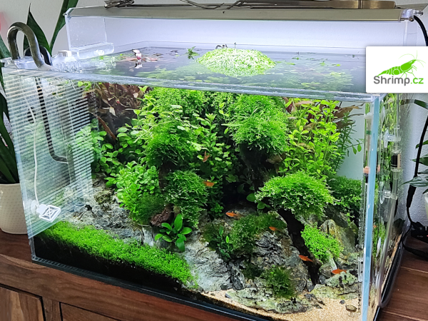 inspirace od akvaristů č. 1
