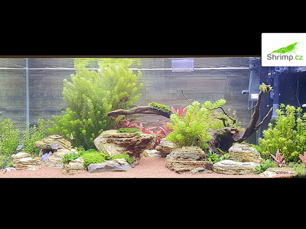 inspirace od akvaristů č. 2