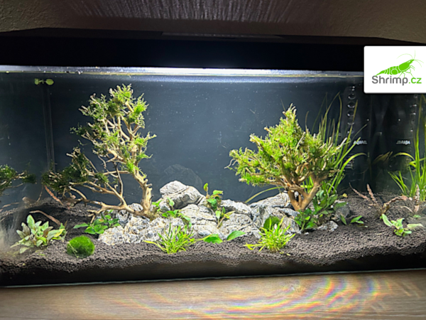 inspirace od akvaristů č. 13