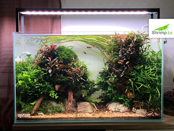 inspirace od akvaristů č. 16