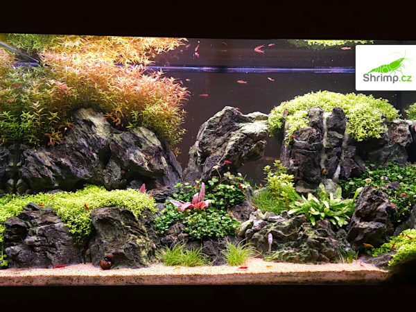 inspirace od akvaristů č. 17