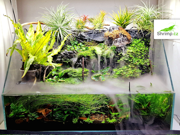 inspirace od akvaristů č. 25