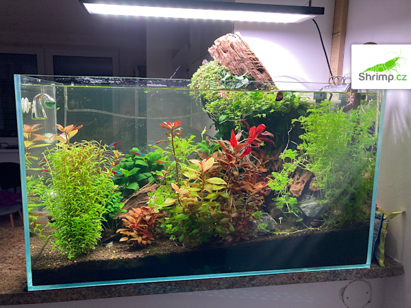 inspirace od akvaristů č. 26