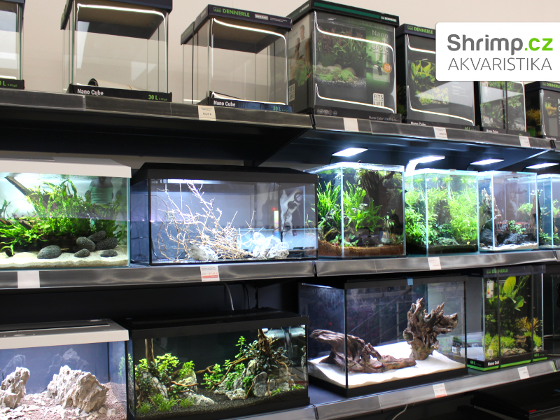 Akvaristika Shrimp v Žiline - prodej hotových akvárií