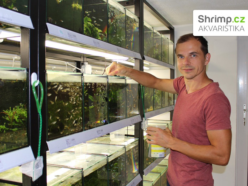 Zakladatel akvaristiky Shrimp - Ondrej Svoboda