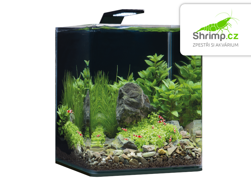 Dennerle NanoCube Basic Style LED 30 l