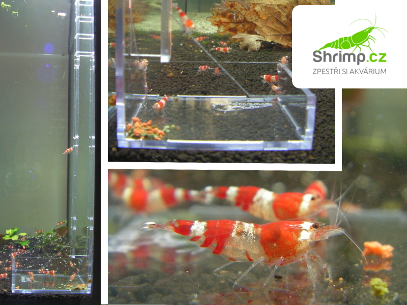 Keramické válečky 0,5 kg