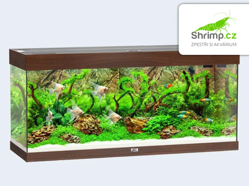 JUWEL Rio LED Akvarijní set 240 tmavě hnědý, 240 l