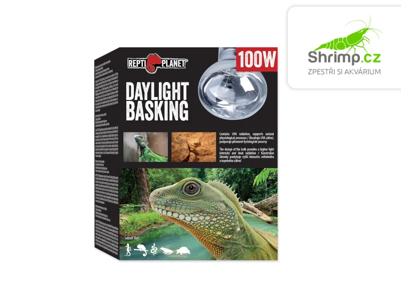 Repti Planet Žárovka Daylight Basking Spot 100W