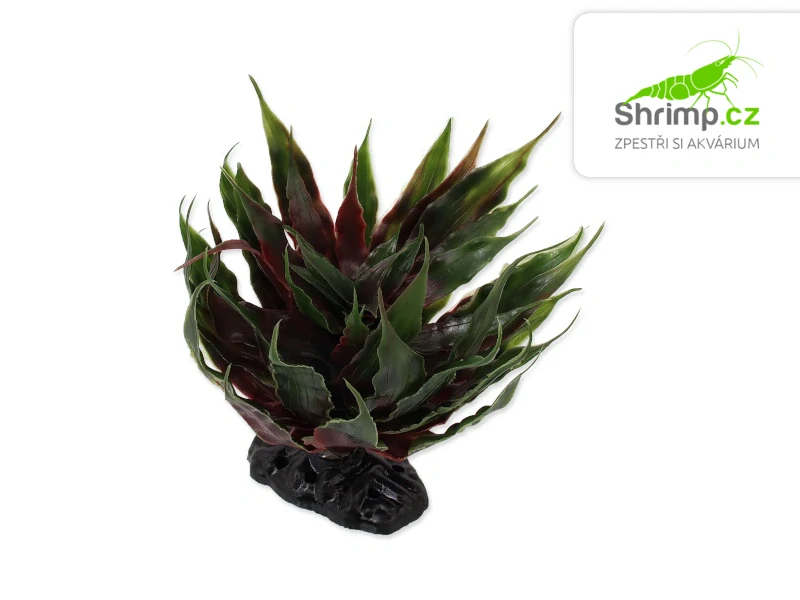 Repti Planet Rostlina Agave zelená 18 cm