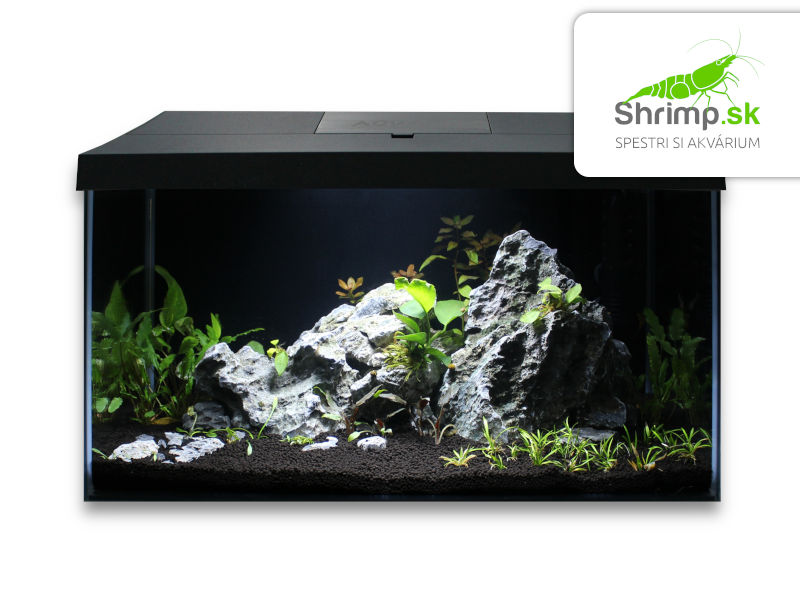 Kompletní akvarijní sada 54 l Black Scenery