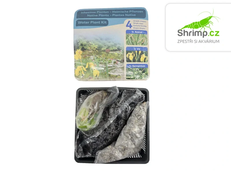 Trio rostlin (Acorus, Iris, Sparganium) – blistr 18 cm