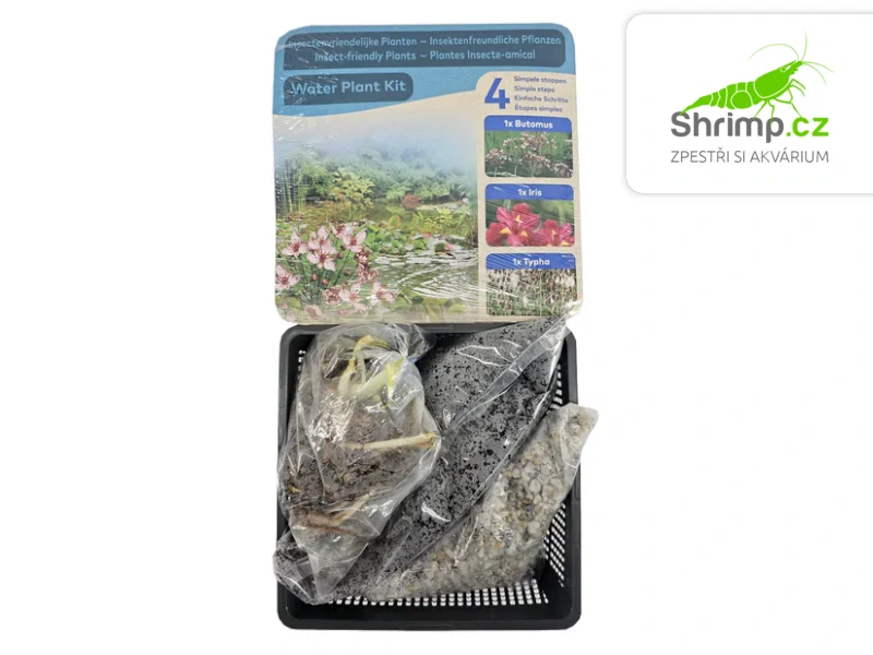 Trio rostlin (Acorus, Iris, Typha) – blistr 18 cm