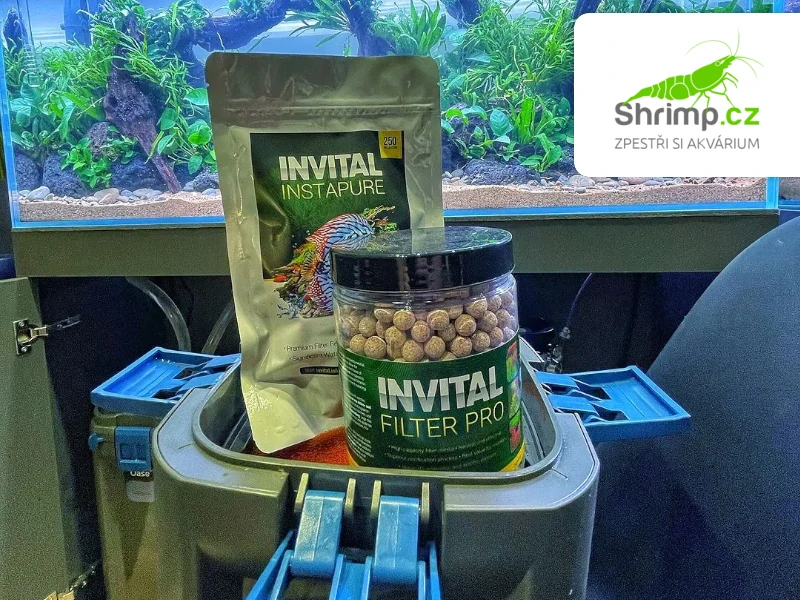 INVITAL Filter PRO 1000ml