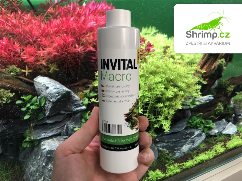 INVITAL Macro 500 ml