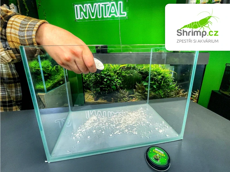 INVITAL DeepMagic 20g