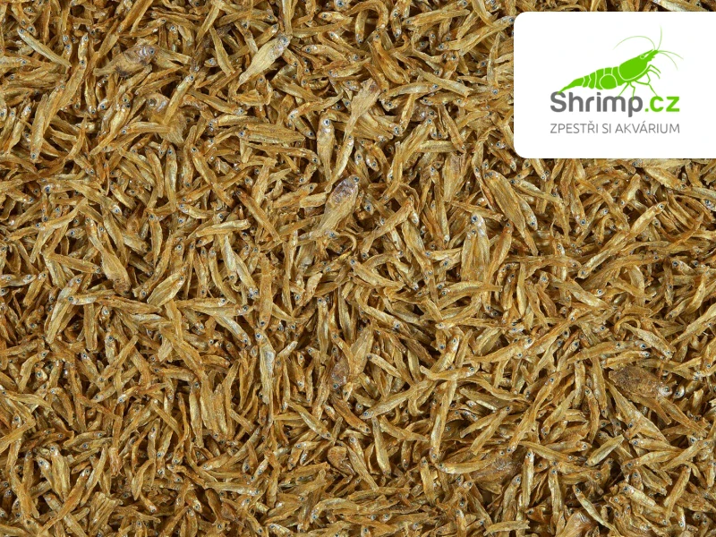 Tetra Krmivo Anchovies 250 ml