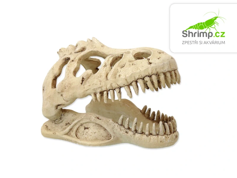 Repti Planet Dekorace T-REX lebka 13,3×8,5×9 cm