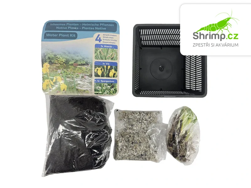 Trio rostlin (Acorus, Iris, Sparganium) – blistr 18 cm