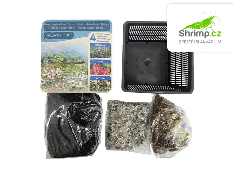 Trio rostlin (Acorus, Iris, Typha) – blistr 18 cm