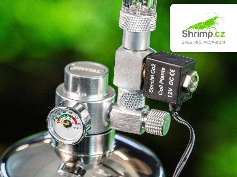 INVITAL CO2 Generator s nočním vypínáním s 2l lahví