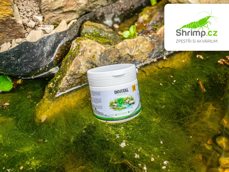 INVITAL PondShield 250g