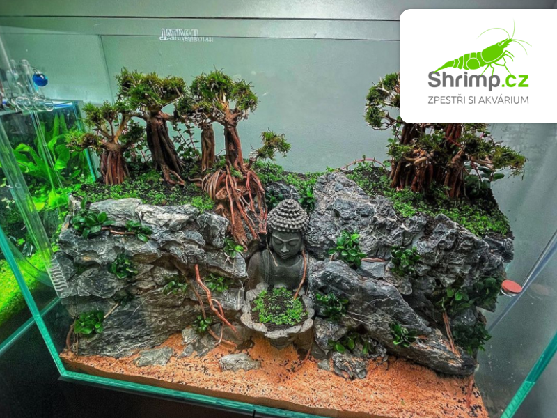 Bonsai Driftwood 15 x 12 x 13 cm (10.)