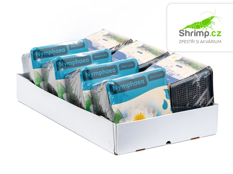 Nymphaea alba – blistr 18 cm