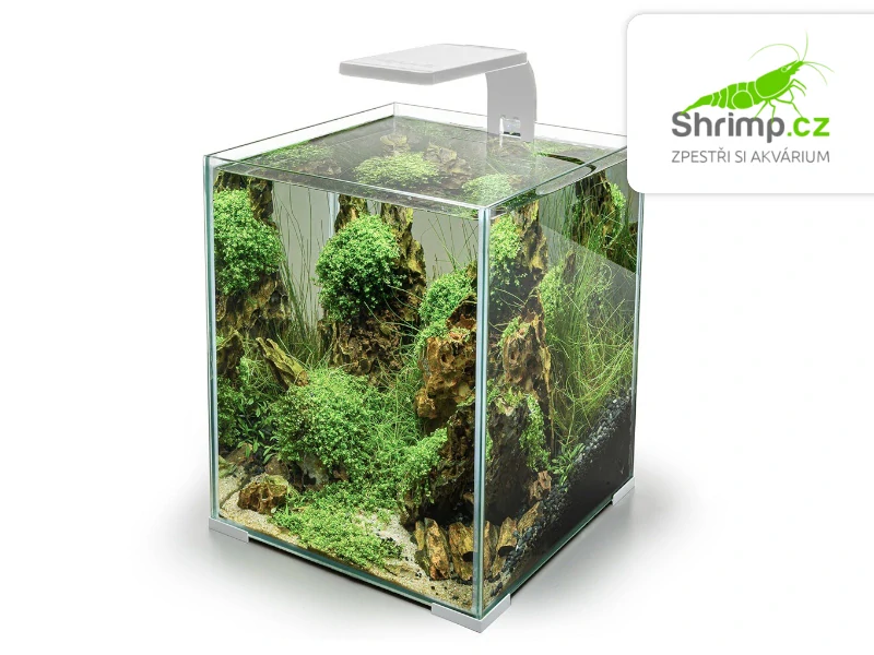 Aquael Leddy Smart PLANT D&N 4,8 W, 11 cm bílá